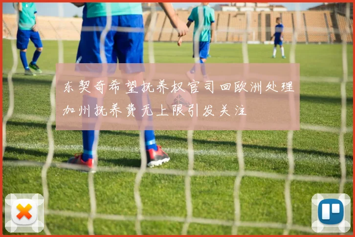 东契奇希望抚养权官司回欧洲处理加州抚养费无上限引发关注
