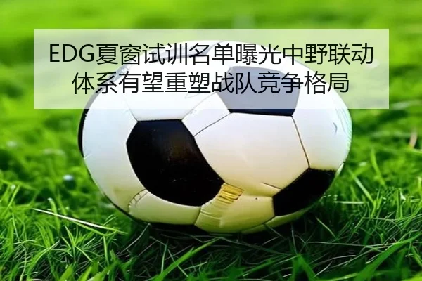 EDG夏窗试训名单曝光中野联动体系有望重塑战队竞争格局